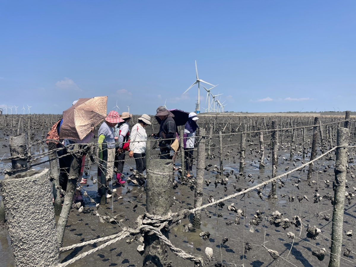 小旅行_探索產業故事：跟著蚵農工作趣